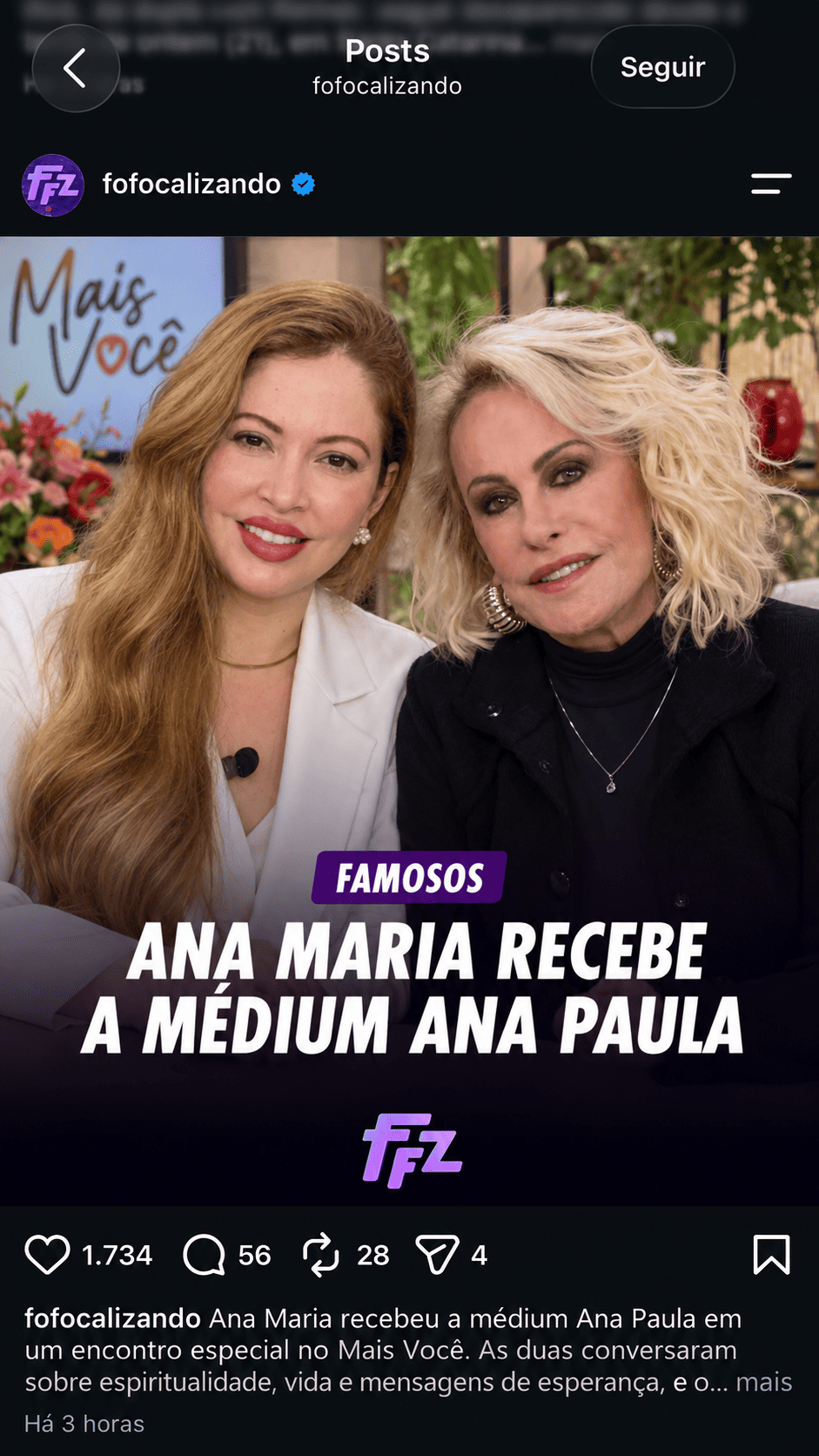 Registro público envolvendo Ana Paula e Ana Maria Braga
